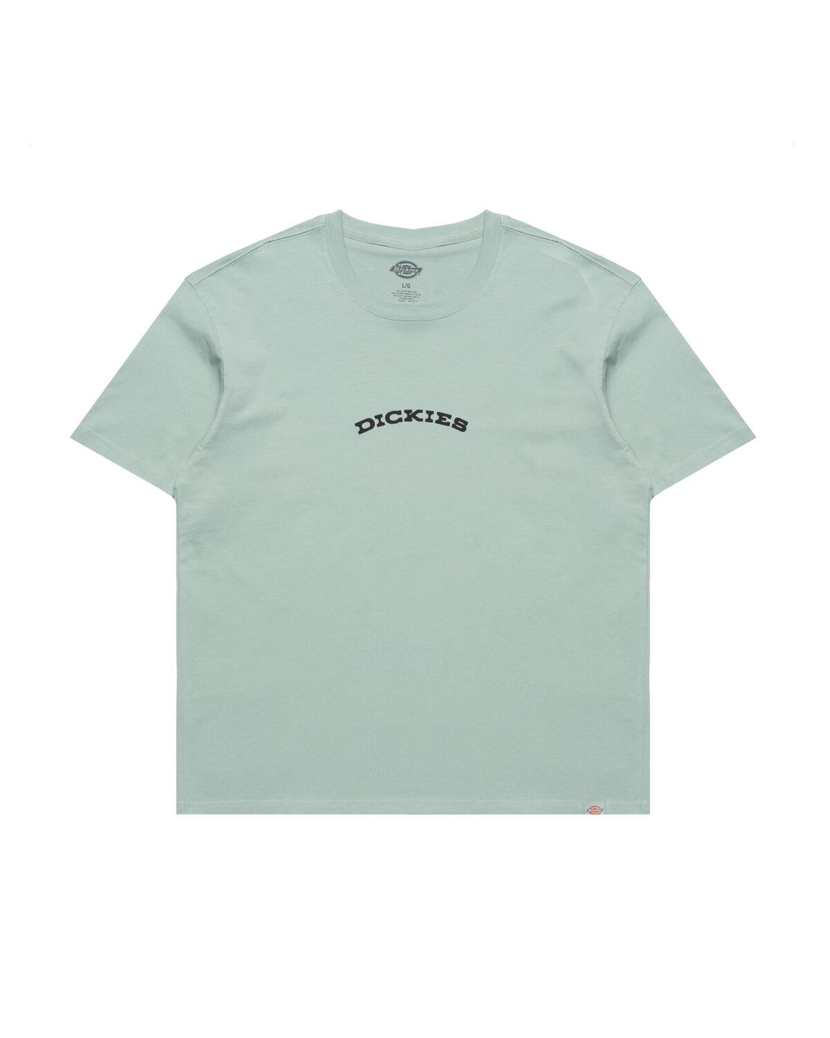 Dickies OUTDOOR TEE | DK0A4Z8PK361 | AFEW STORE